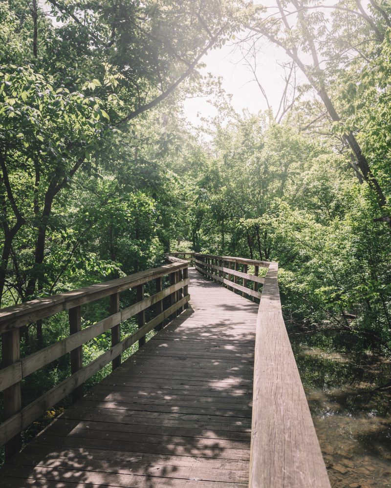 Wooden Walkway To Hayden Run Falls