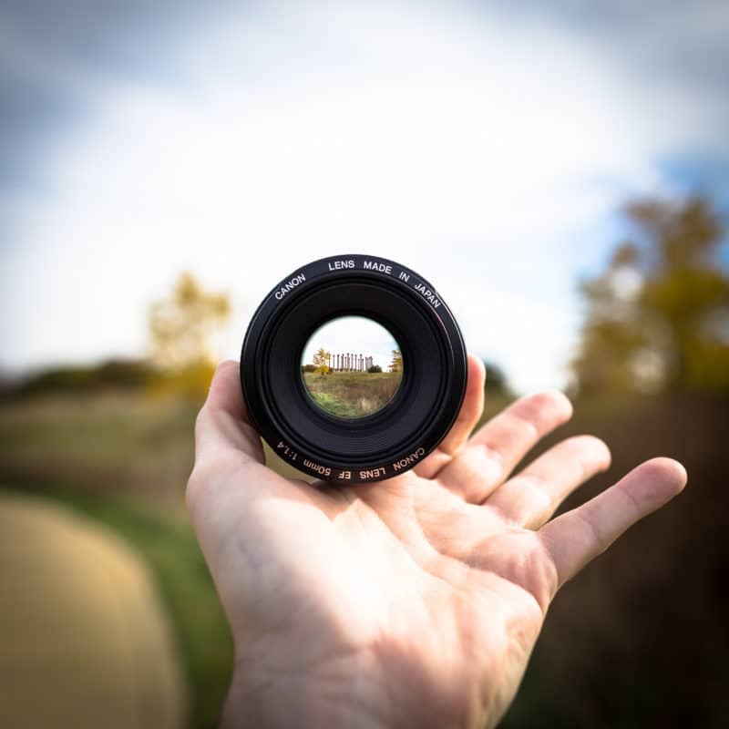 Arboretum Through Lens