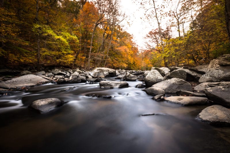 Photos of Rock Creek Park in the Fall