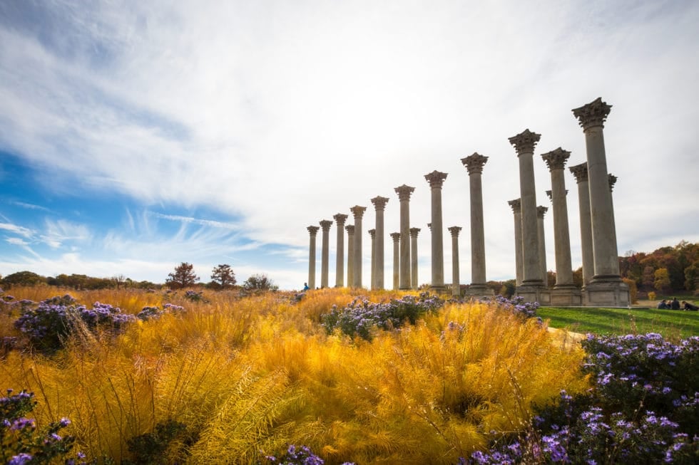 Fall Day at the National Arboretum in Washington DC