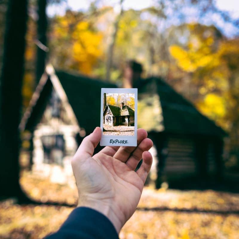 Polaroid Fall Colors Dc