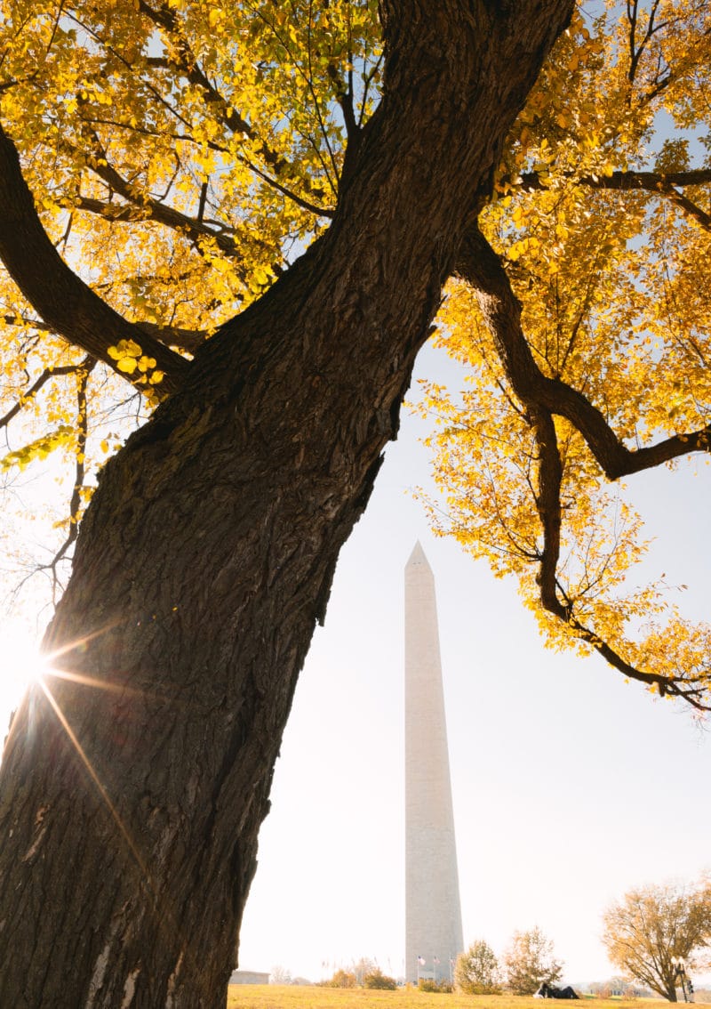 Washington Monument Fall Colors