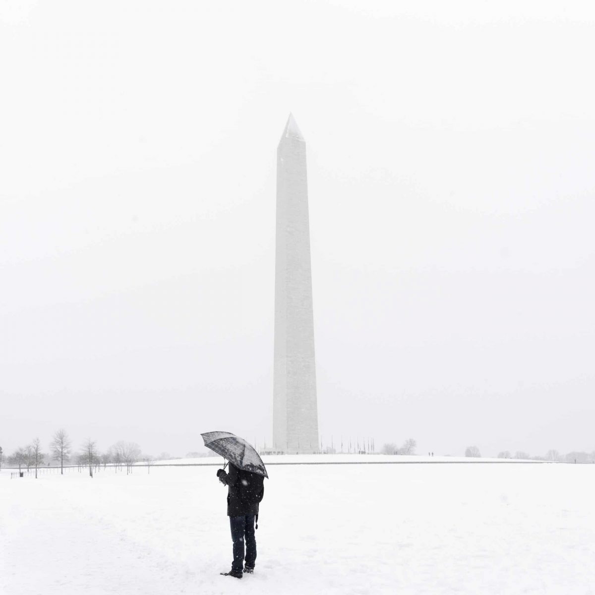 Photos Of Washington DC In The Snow (Winter In DC)