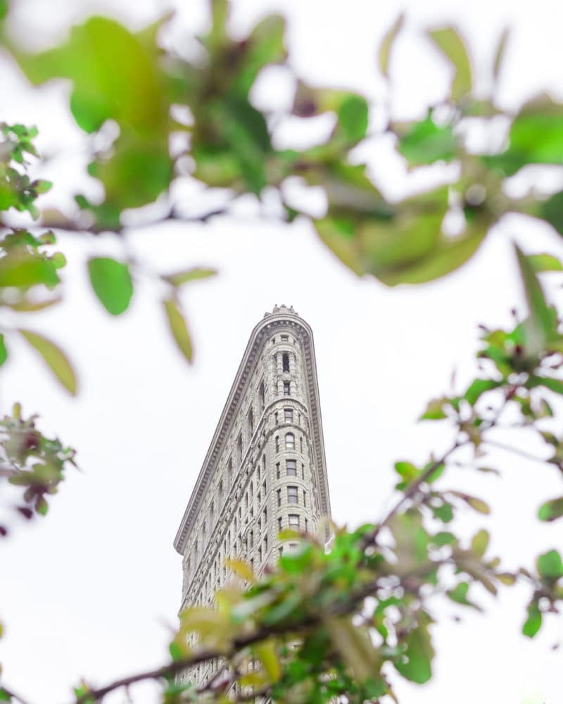 Flatiron Building Surrounded by Green