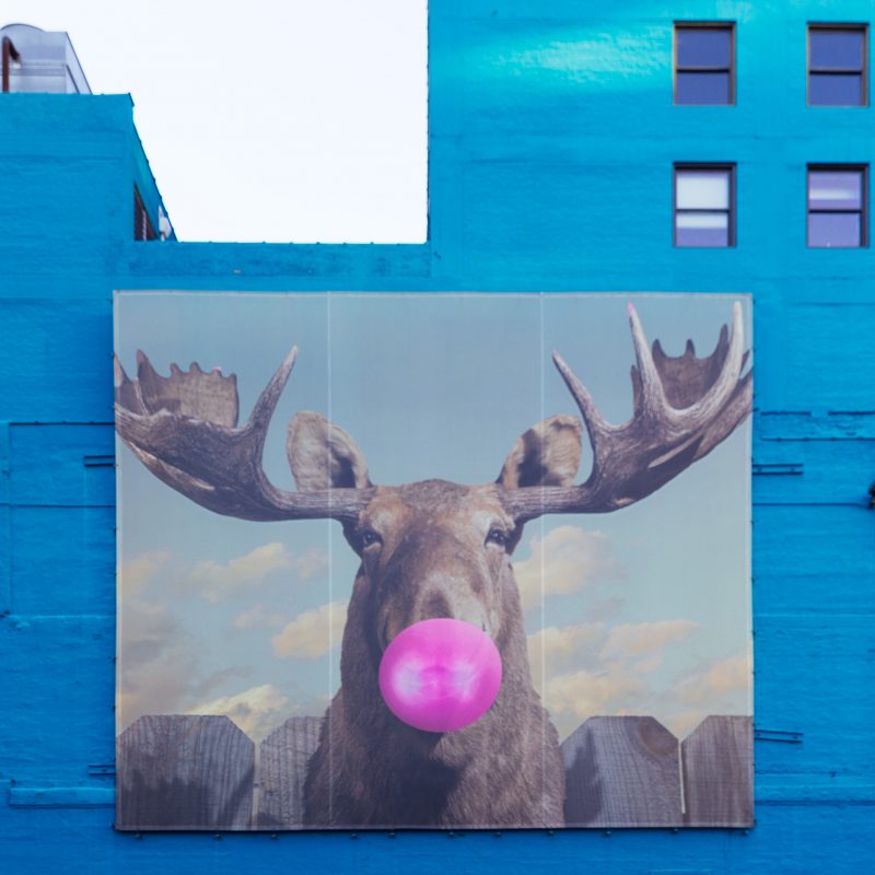 Moose at Wabash Arts Corridor