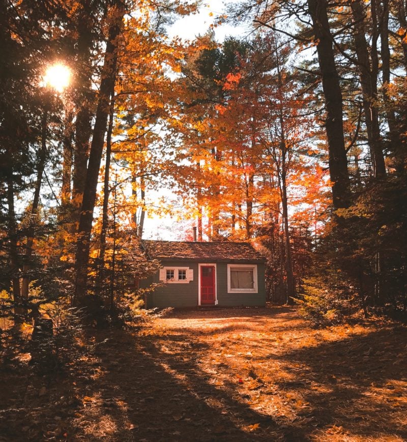 Cabin in Maine (AirBnB)