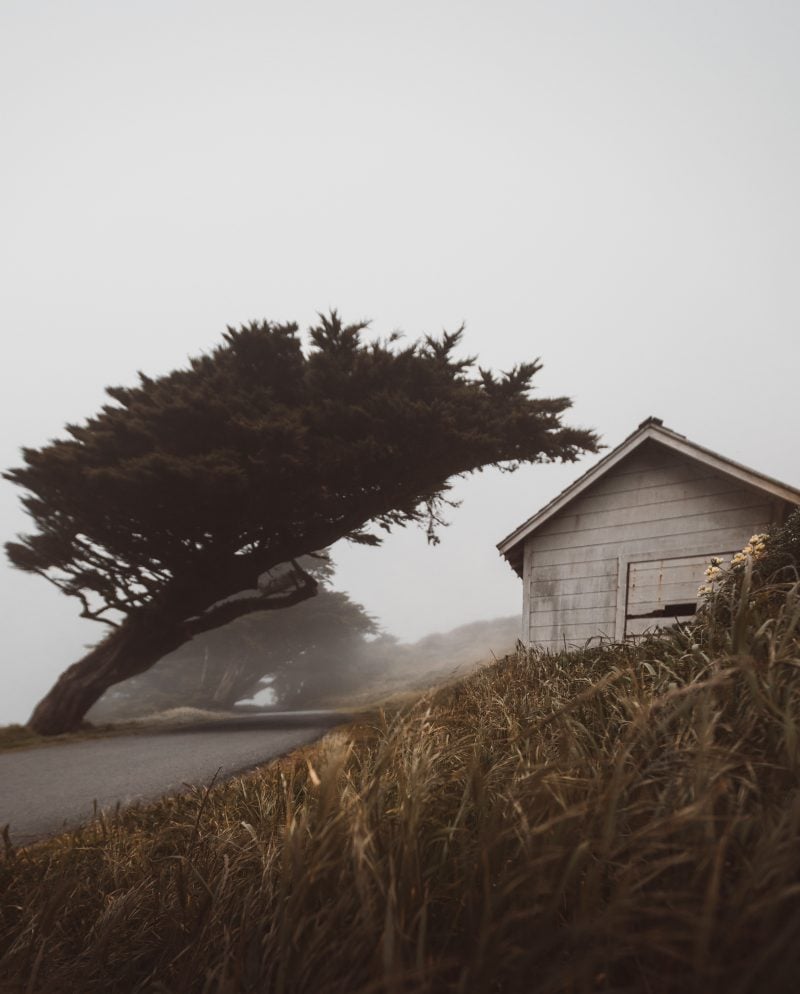 Foggy Cypress Point Reyes