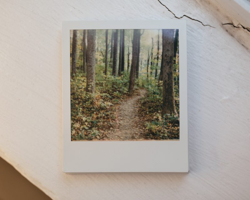 Polaroid Onestep2 Print