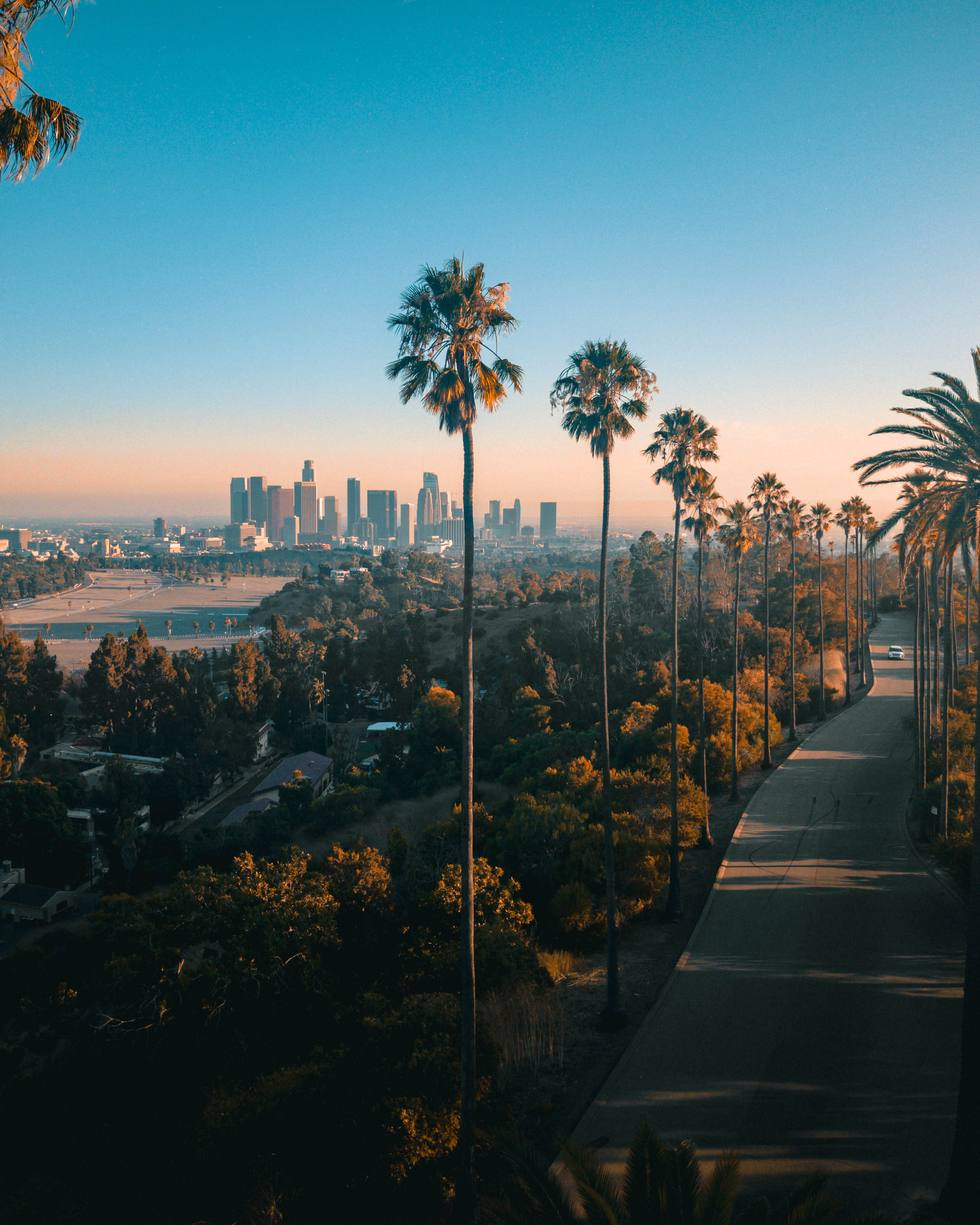 California Vibes, aesthetic, america, beach, la, night, palms