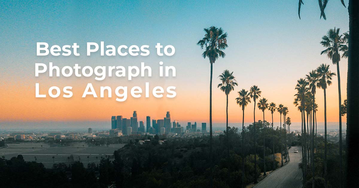 Travel Book Los Angeles - Men - Travel