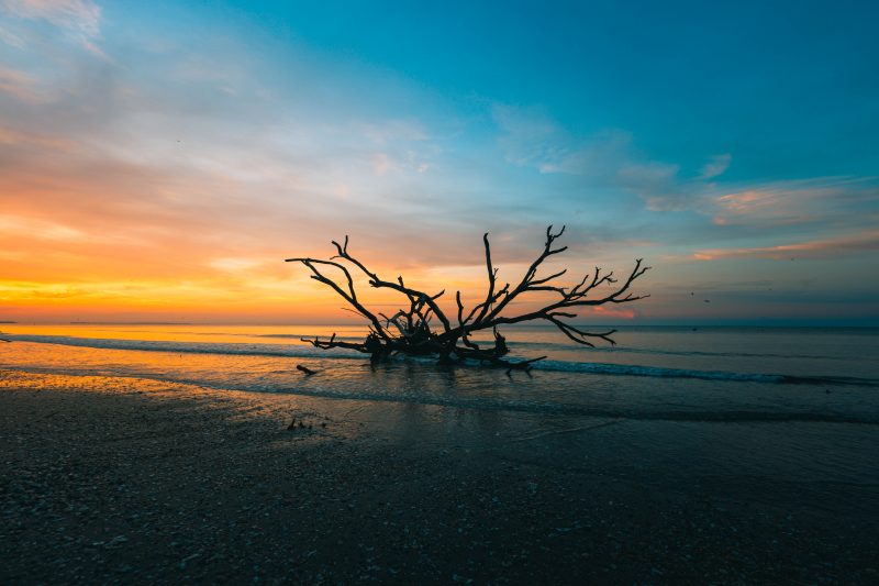 Botany Bay Beach Sunrise 18