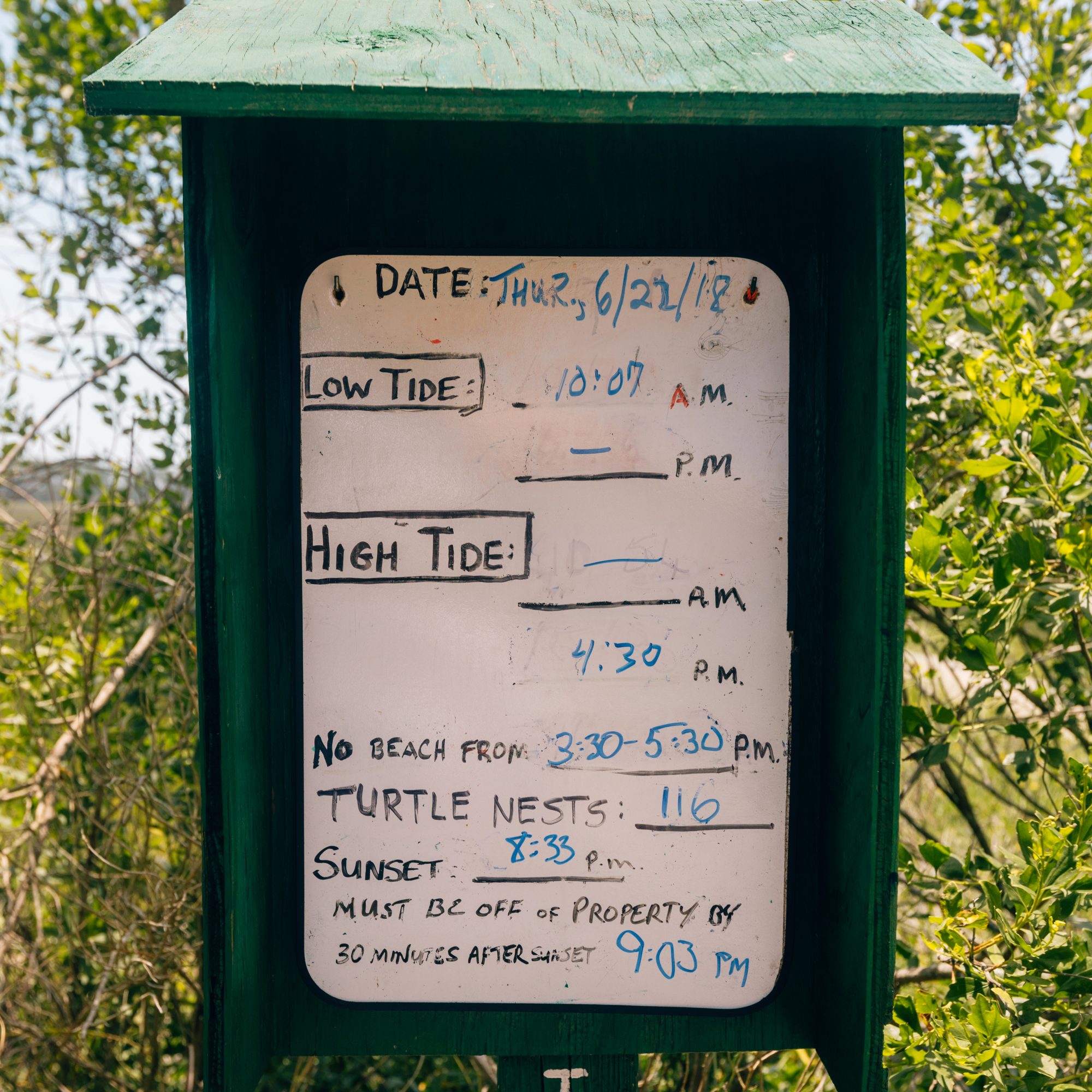 Botany Bay, South Carolina (Photo & Travel Guide)