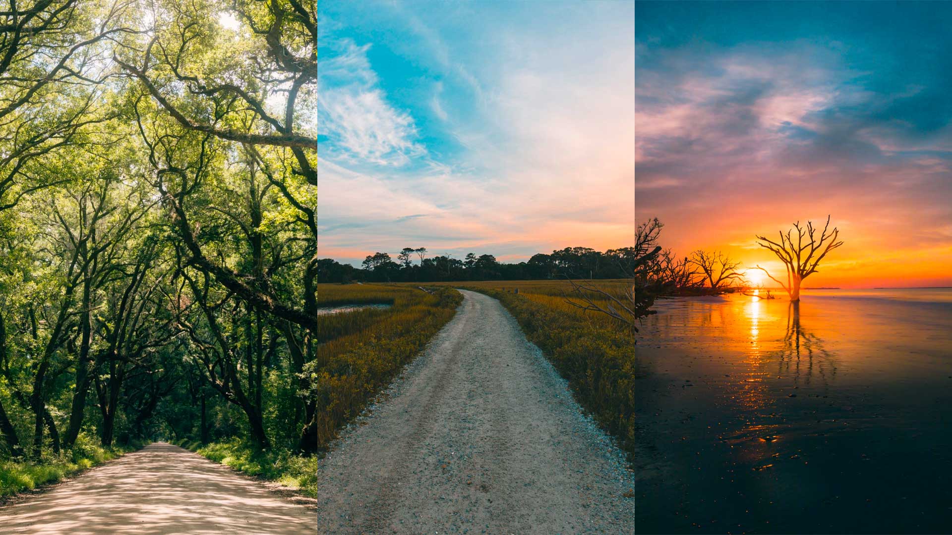 Botany Bay, South Carolina (Photo & Travel Guide)