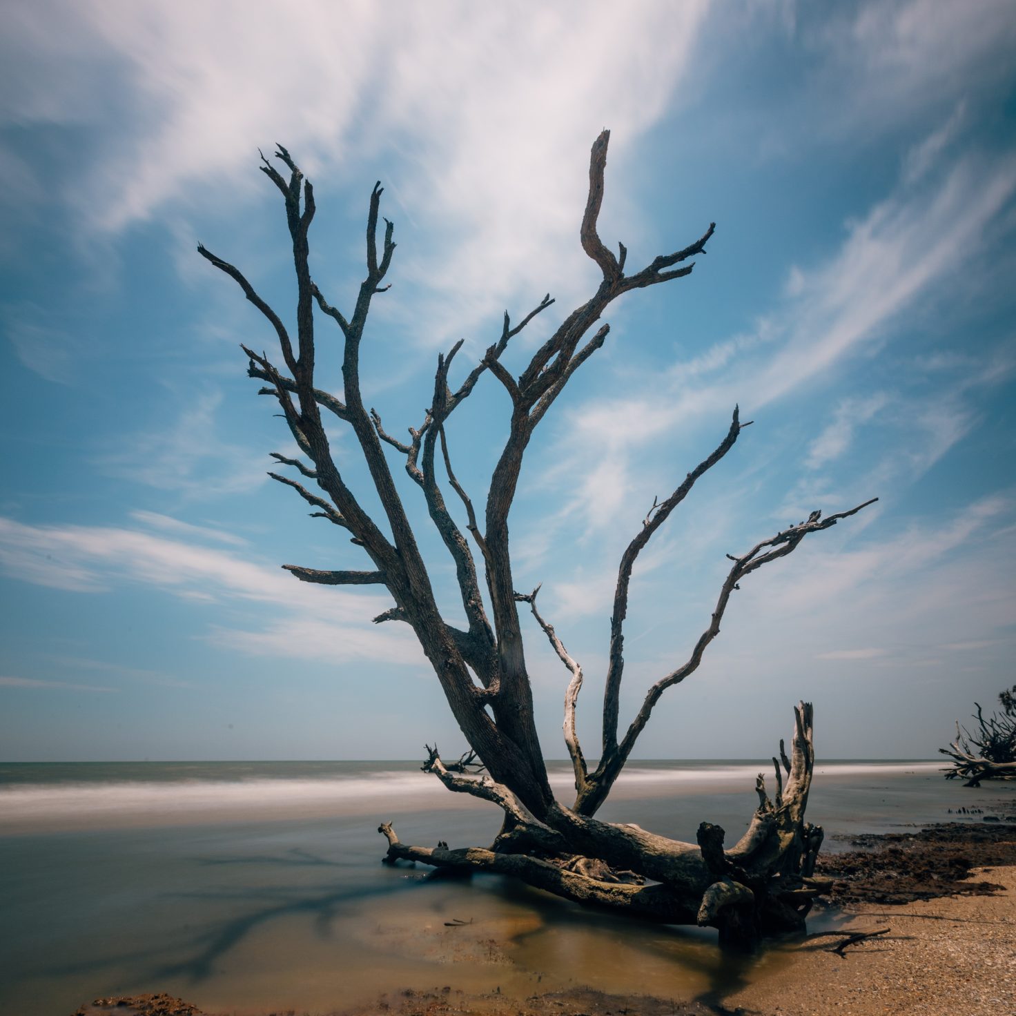 Botany Bay, South Carolina (Photo & Travel Guide)