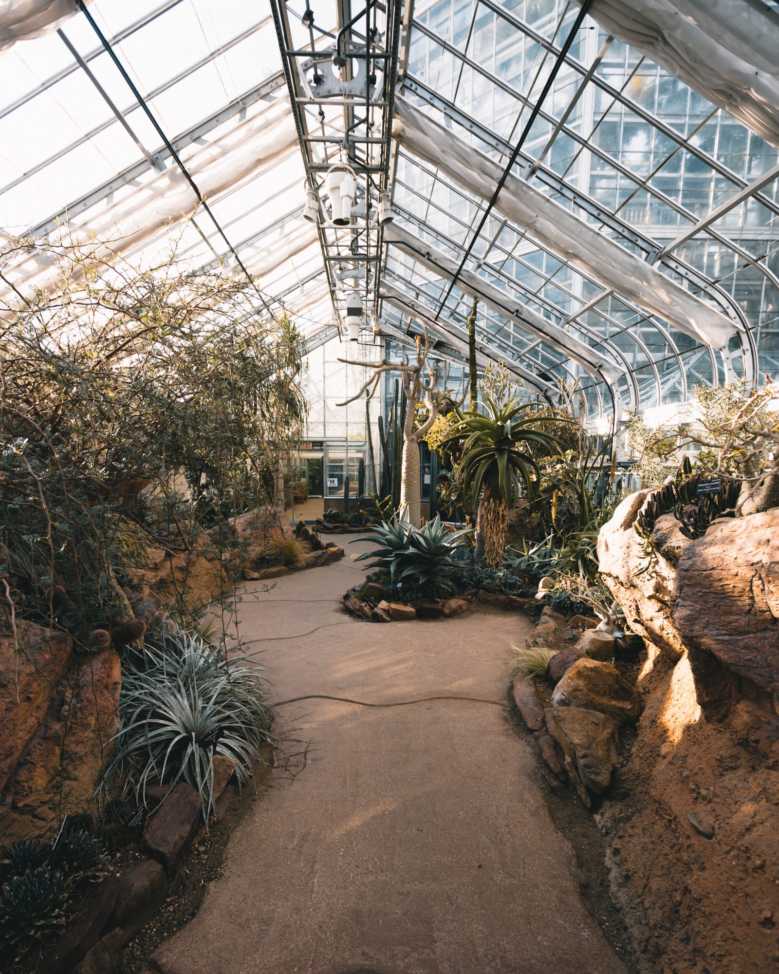 United States Botanic Garden in Washington D.C. (Photos)