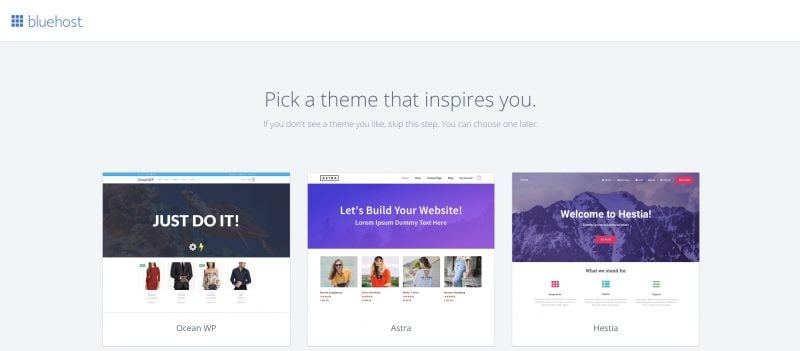 Bluehost Pick Theme