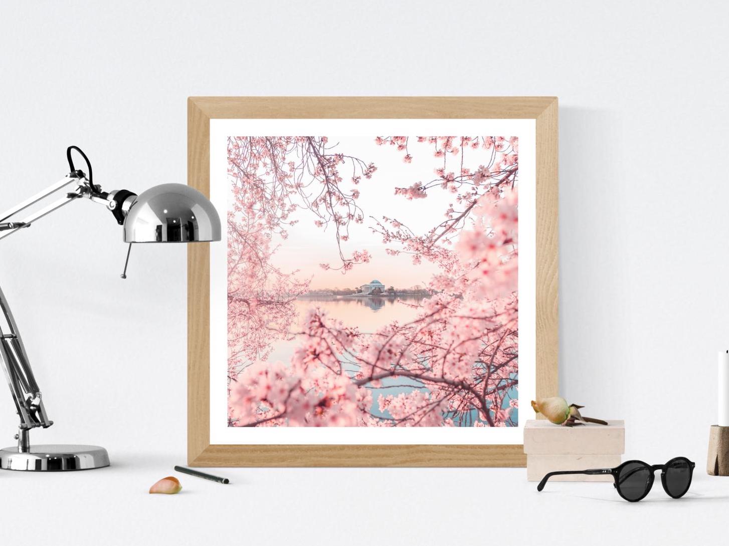 40+ Best Washington DC Prints You Can Get Today (DC Photographs)