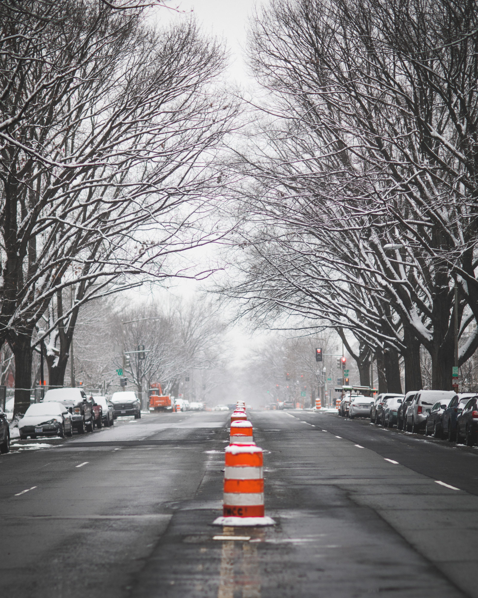 Photos of Washington DC in the Snow (Winter in DC)