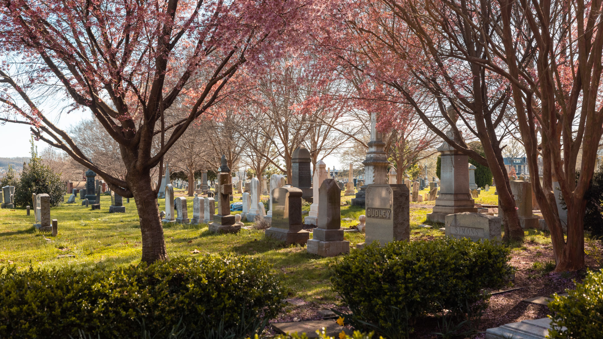 Visiting Congressional Cemetery in Washington DC (Photos)