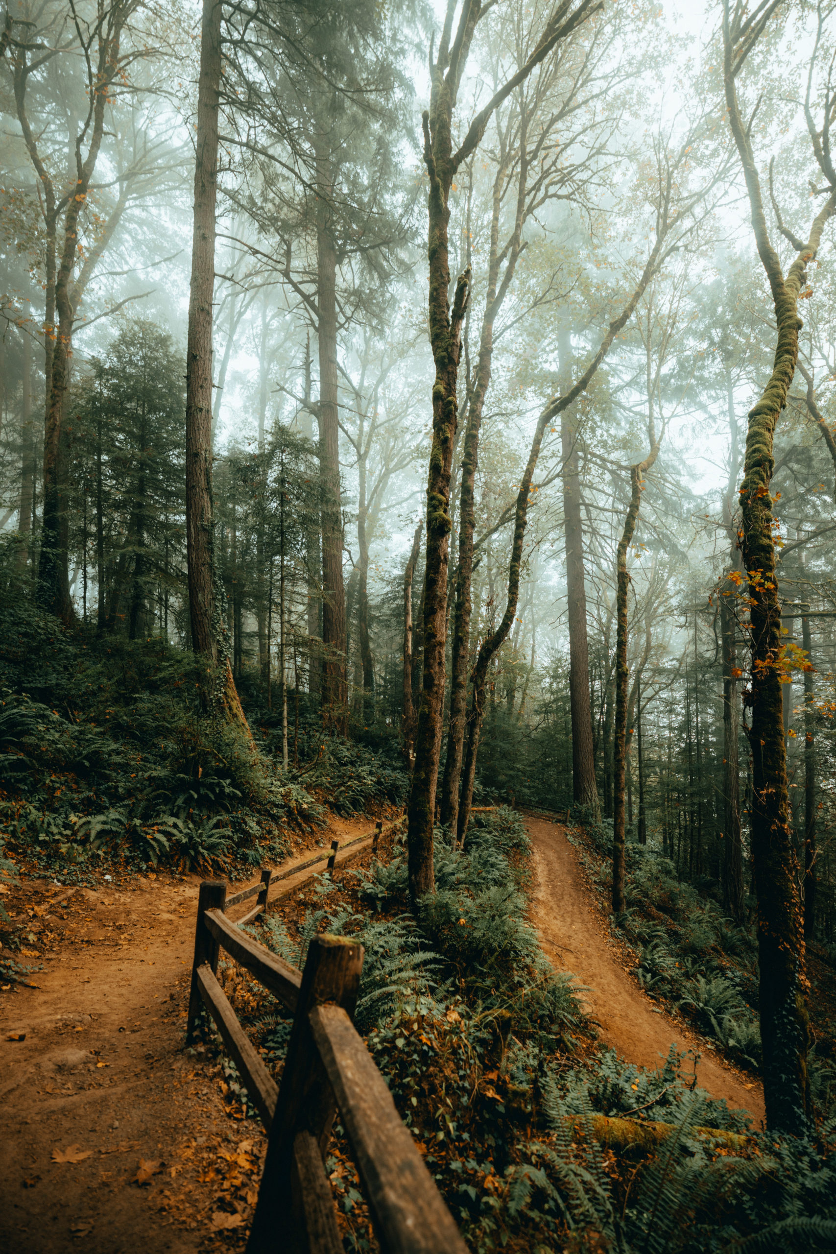 120 Best Rainy day photography ideas