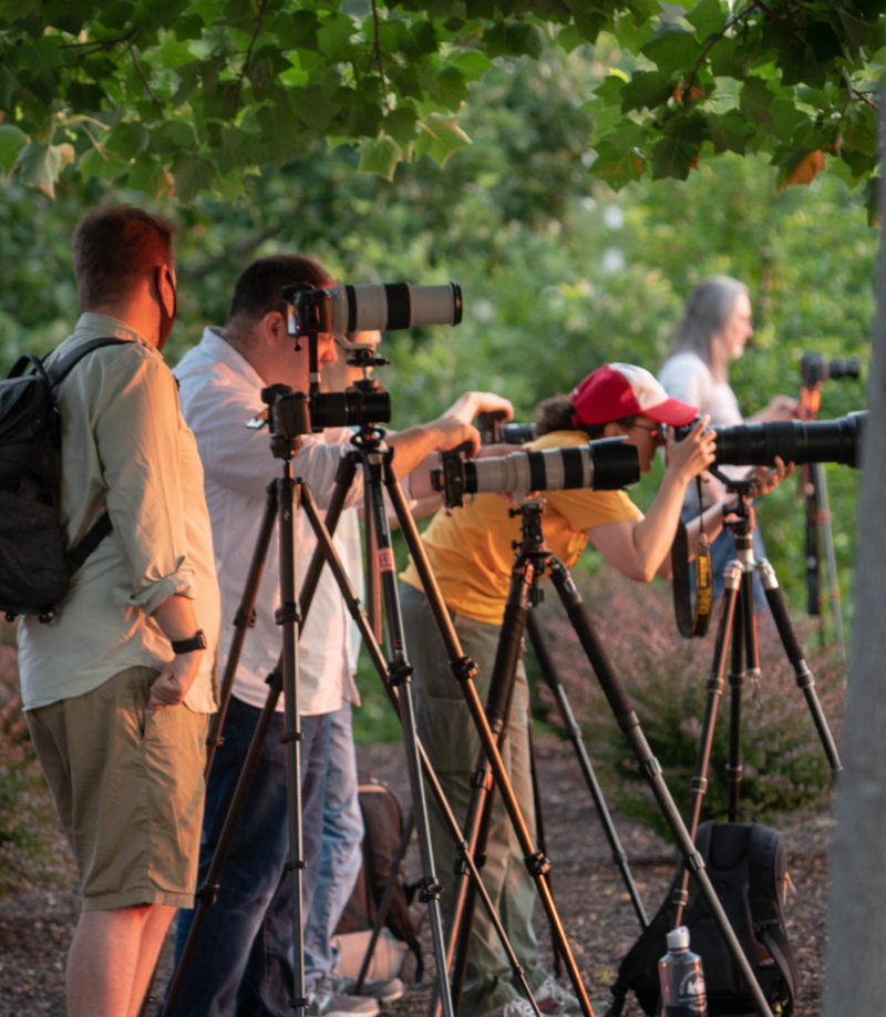 Photographers photographing he partial eclipse