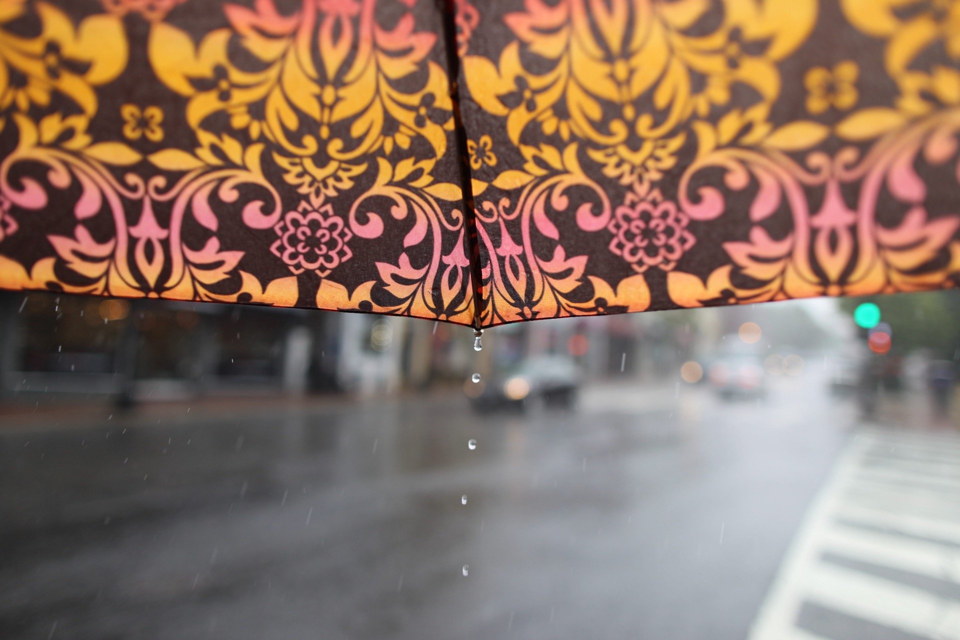 120 Best Rainy day photography ideas