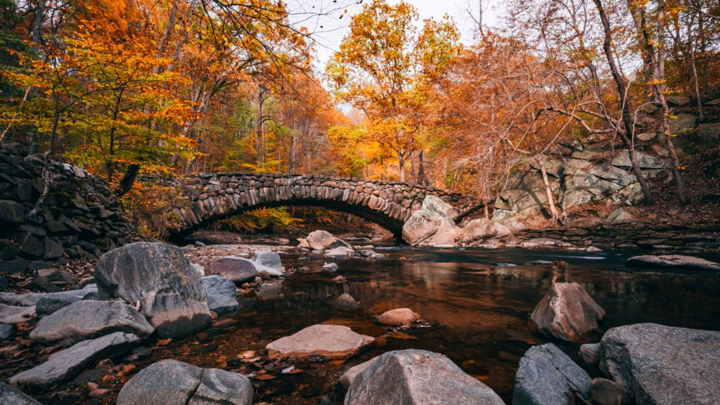 Fall leaves around Boulder Bridge in Rock Creek Park