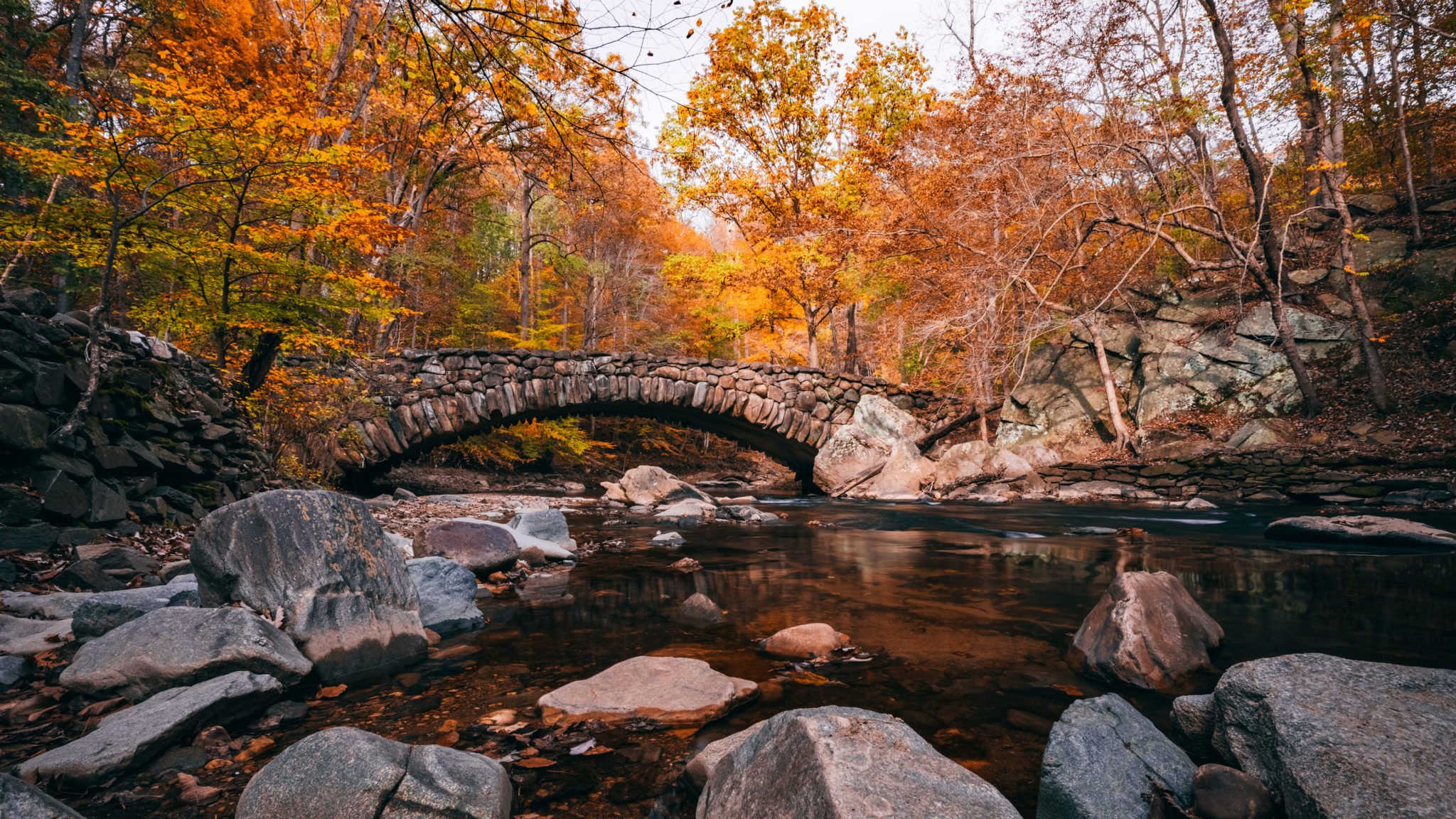 Photos of Fall Colors in Rock Creek Park (DC Foliage Guide)