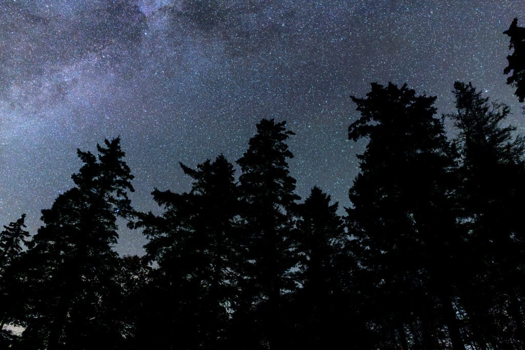 Stars over Sand Beach in Acadia National Park