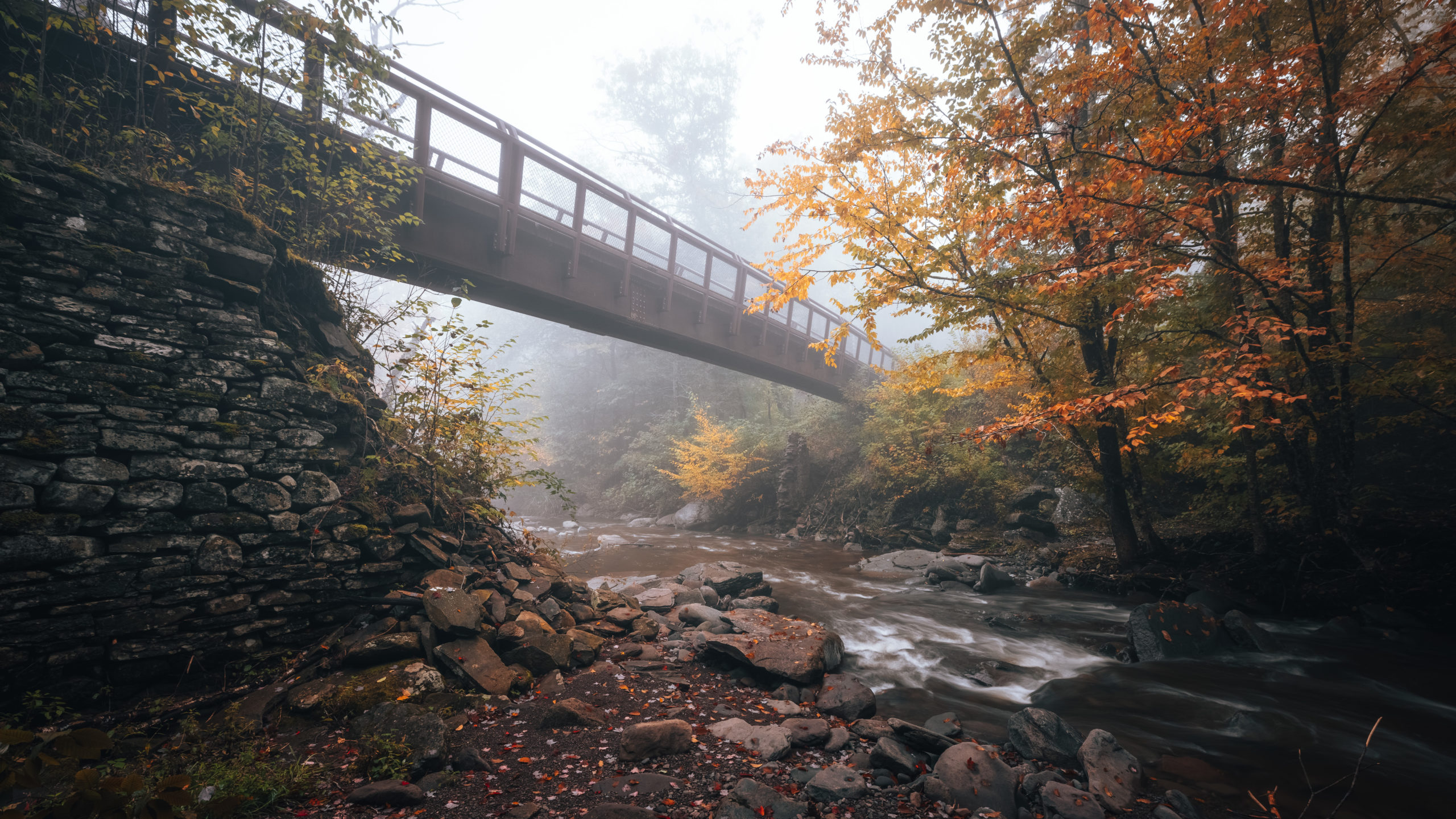 10 rainy day photo tricks - 500px