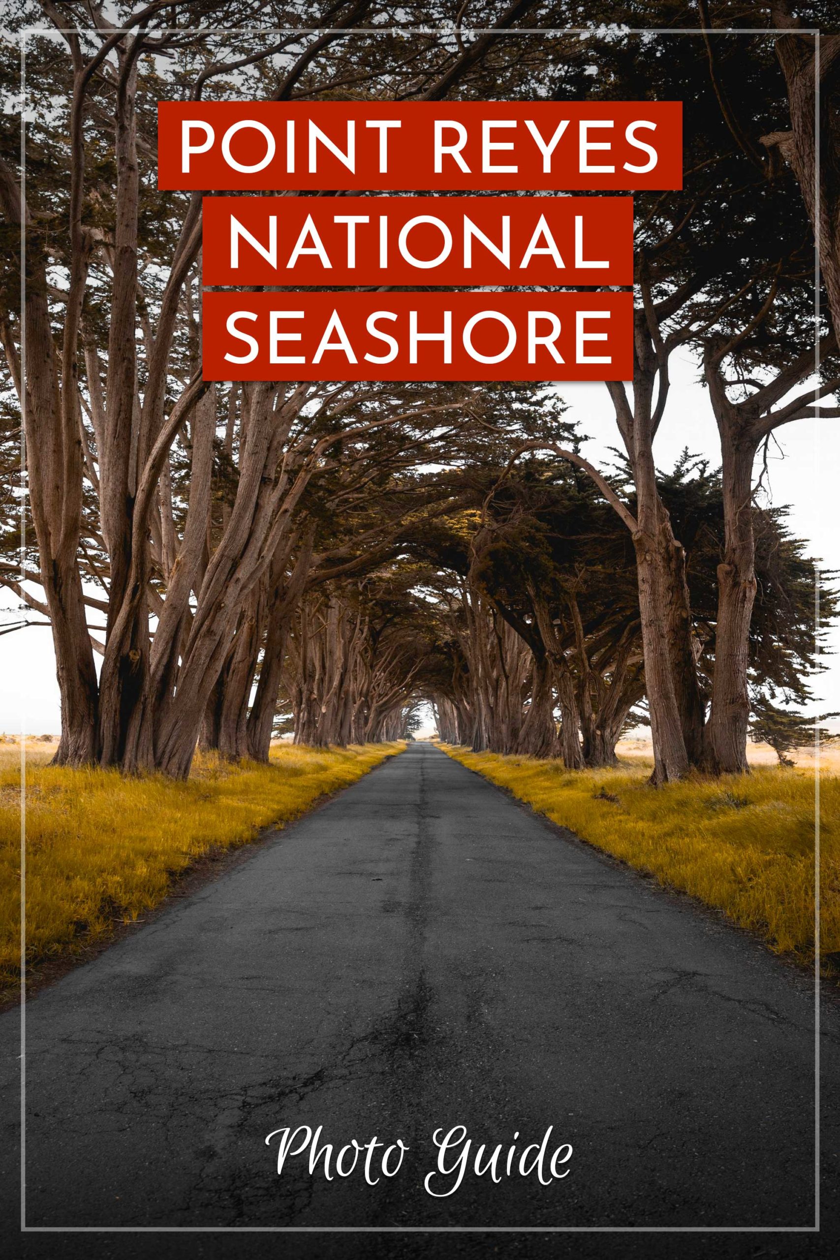 Point Reyes Love Best Places to Photograph in Point Reyes (Photo Guide)