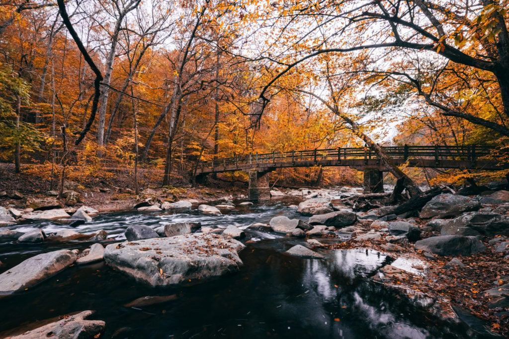 Rapids Bridge in Rock Creek Park