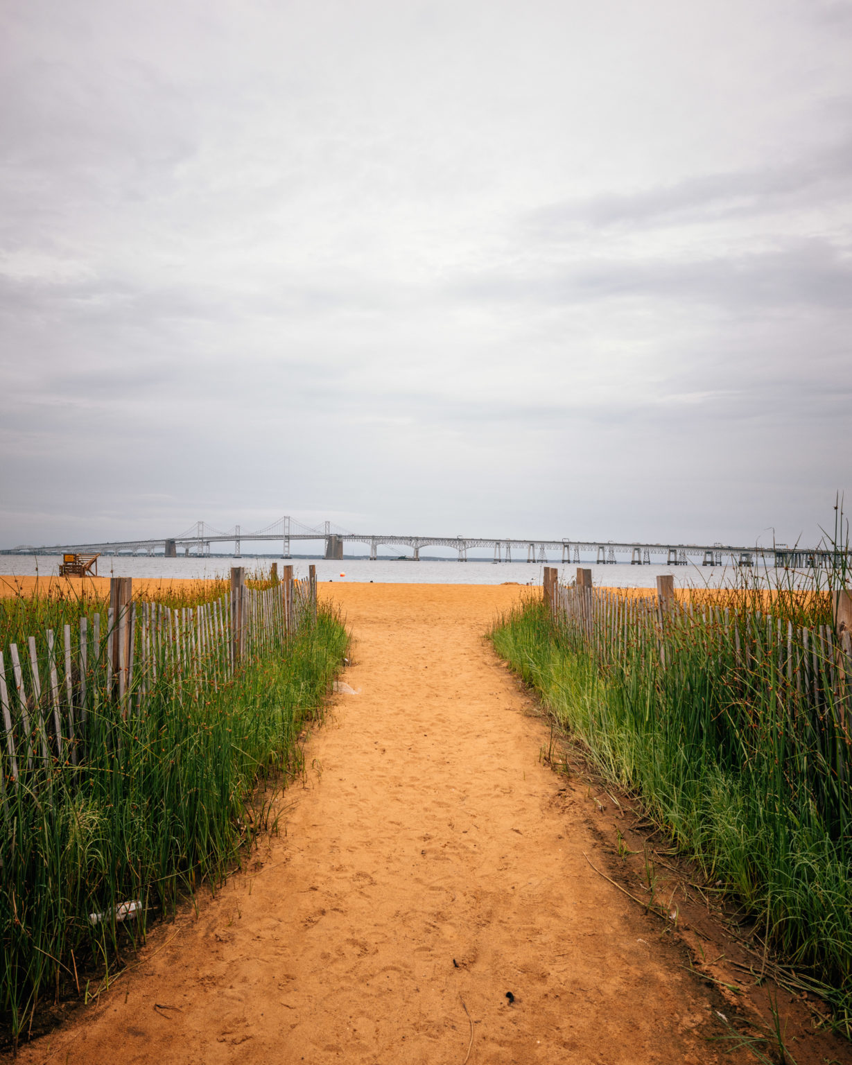 Sandy Point State Park: Where Maryland's Beauty Meets Your Adventures