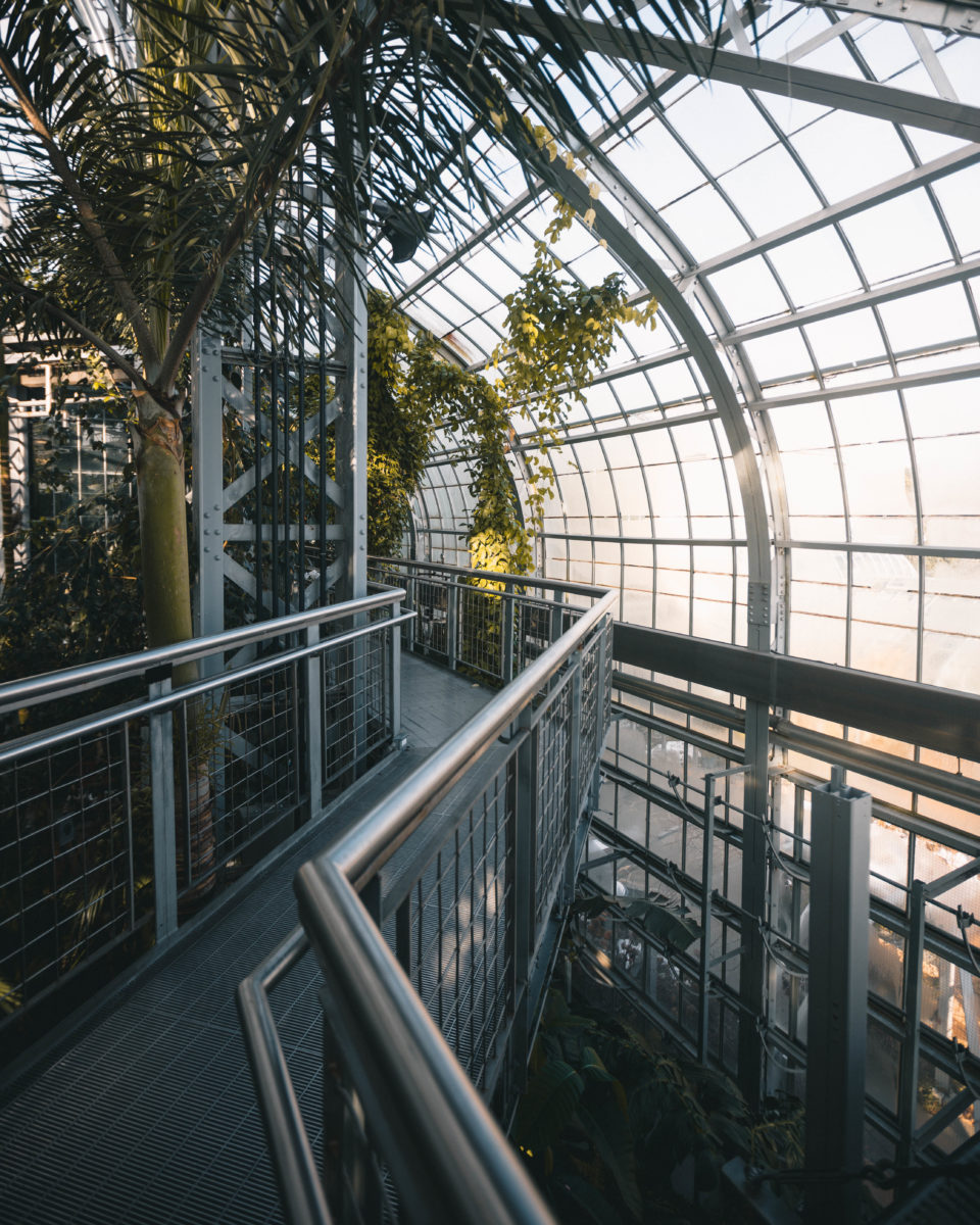 Walkways in the U.S. Botanic Garden