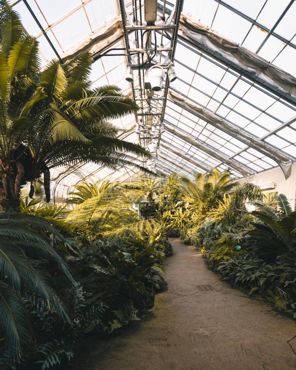 Desert area of the U.S. Botanic Garden