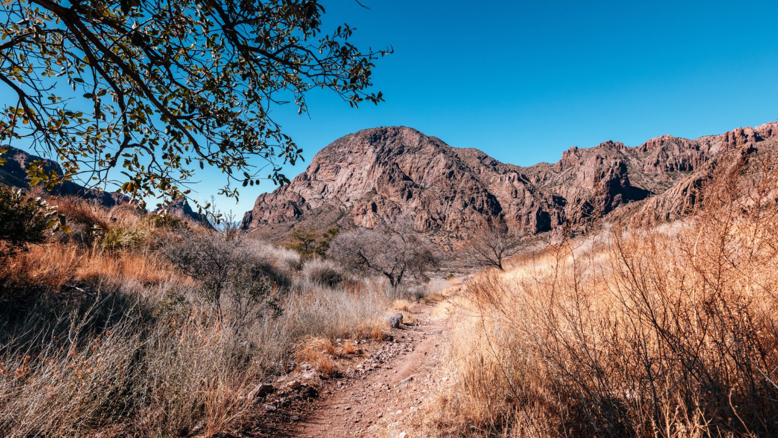 Things to do in Big Bend National Park (Travel Guide)