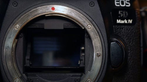 What is a DSLR Camera? A Complete Beginner's Guide