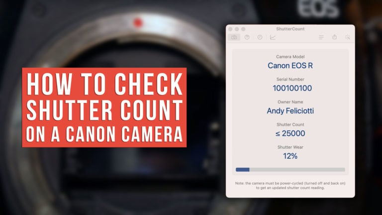 canon rp shutter count check