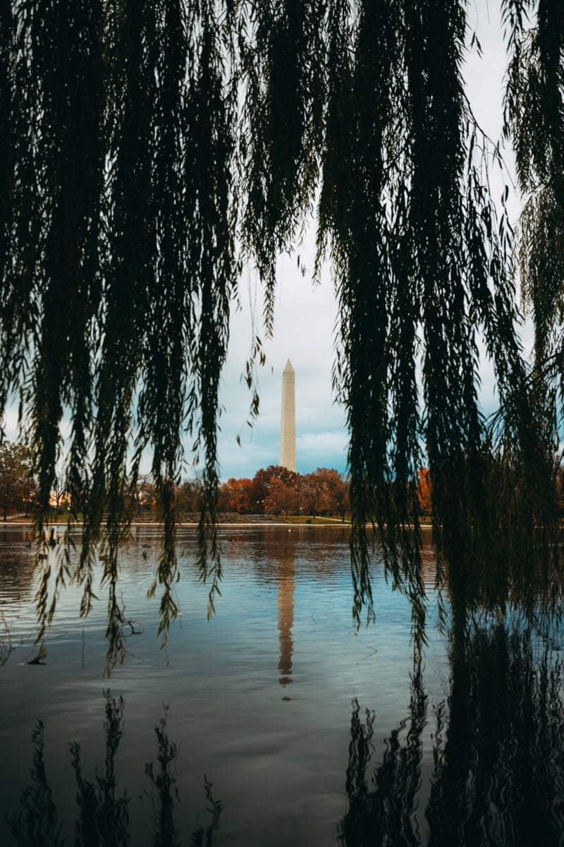 View of the Washington Monument from Constitution Gardens