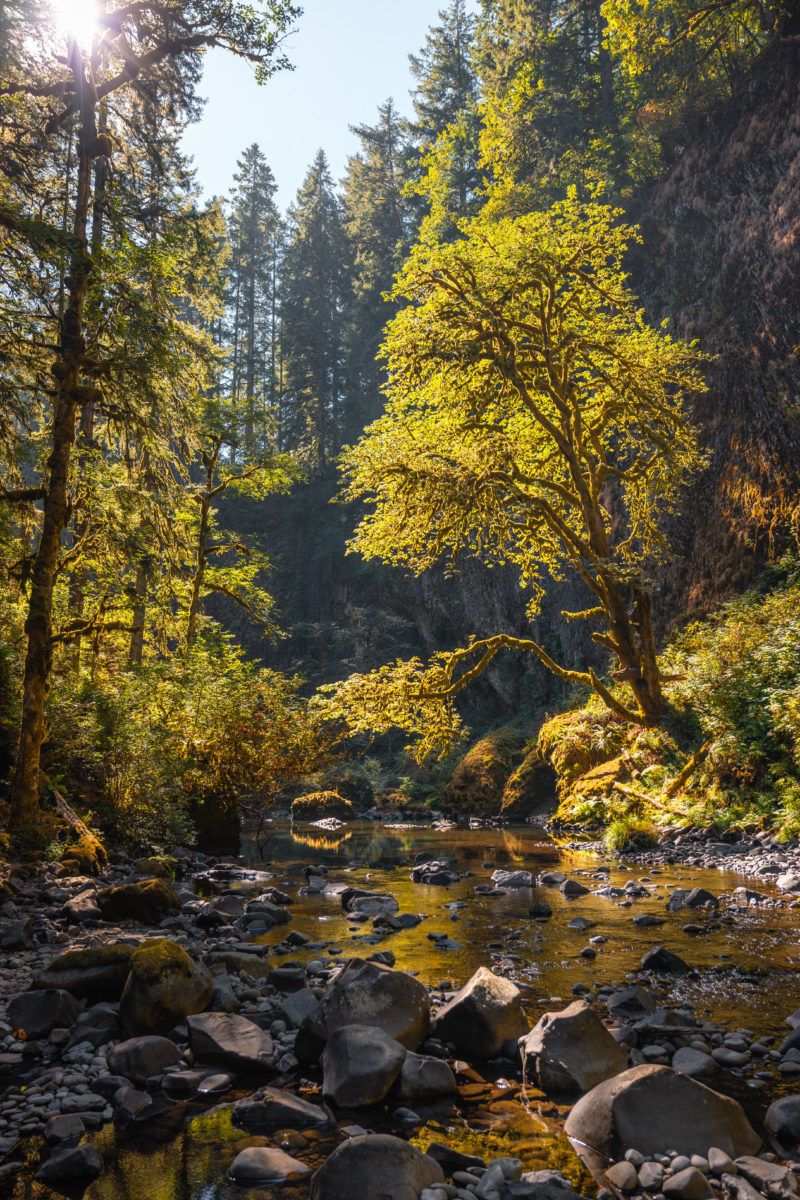 Abiqua Falls The Photographer's Guide