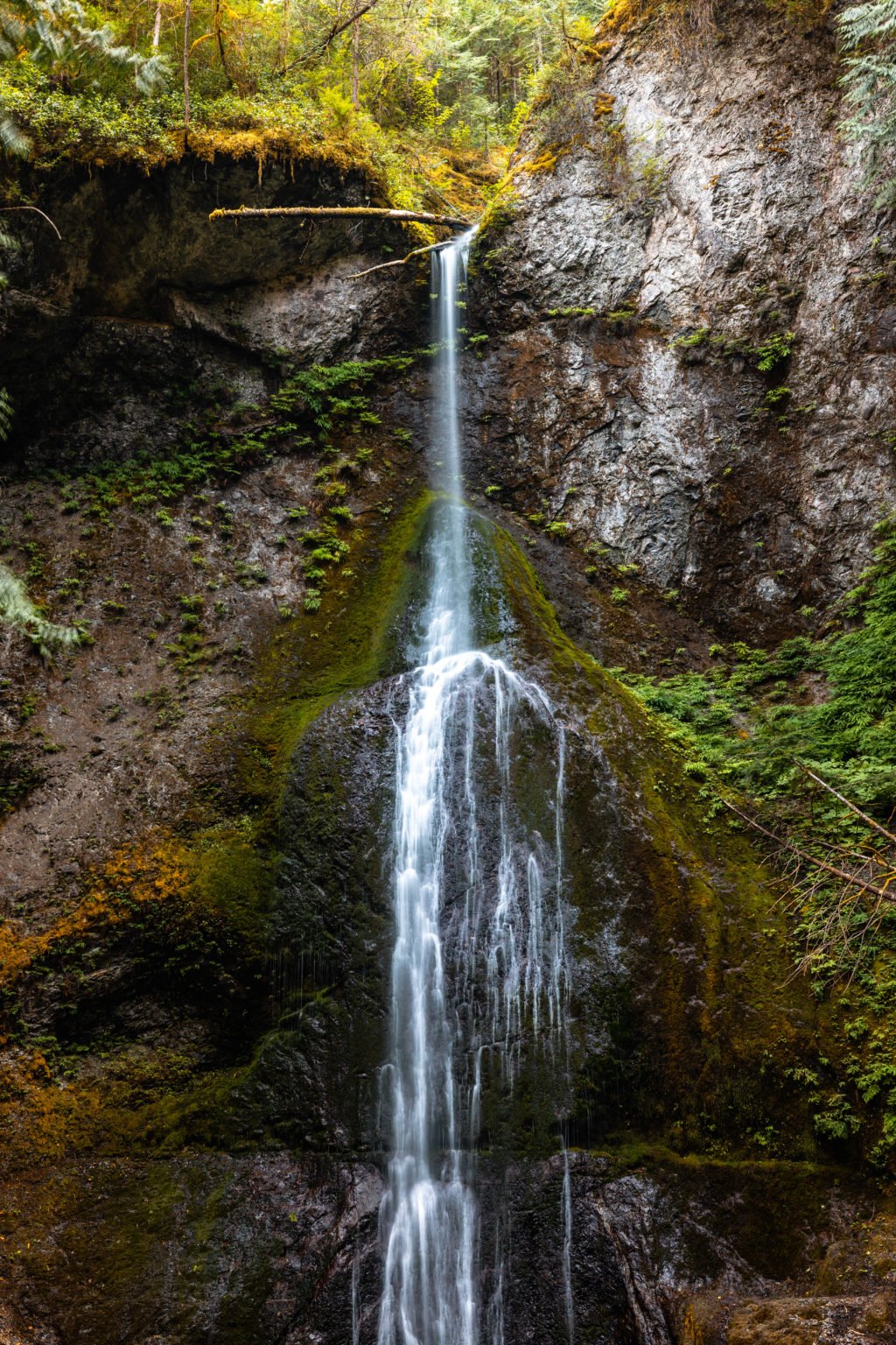 Marymere Falls in Olympic National Park: Photos & Travel Guide