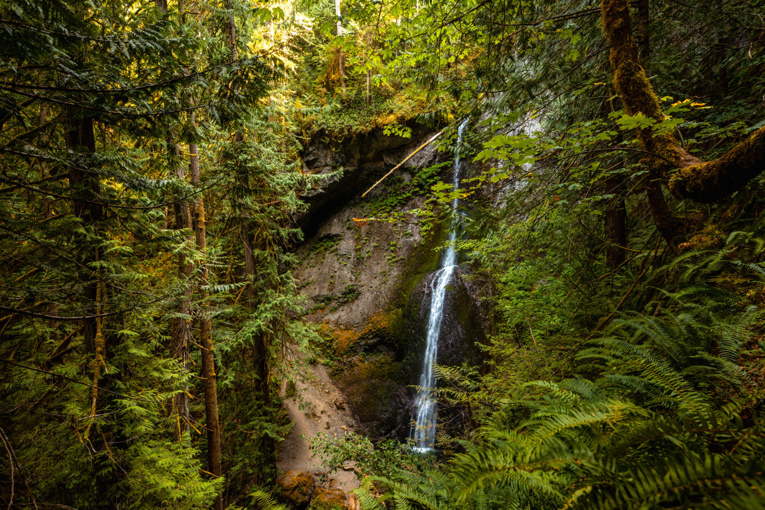 Marymere Falls in Olympic National Park: Photos & Travel Guide