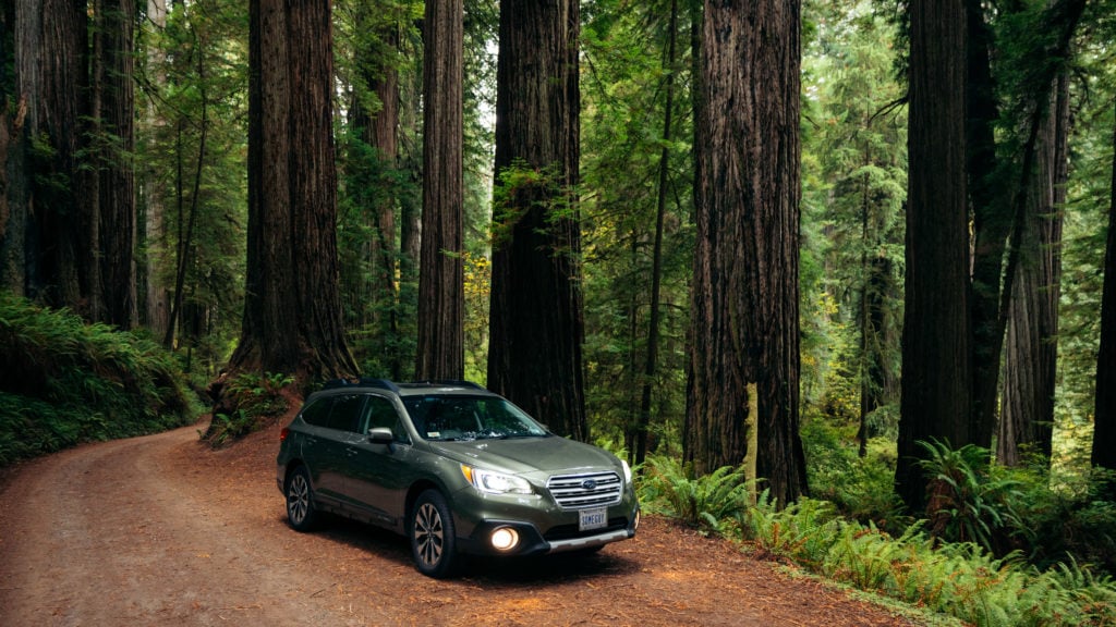 Subaru in Redwood National Park