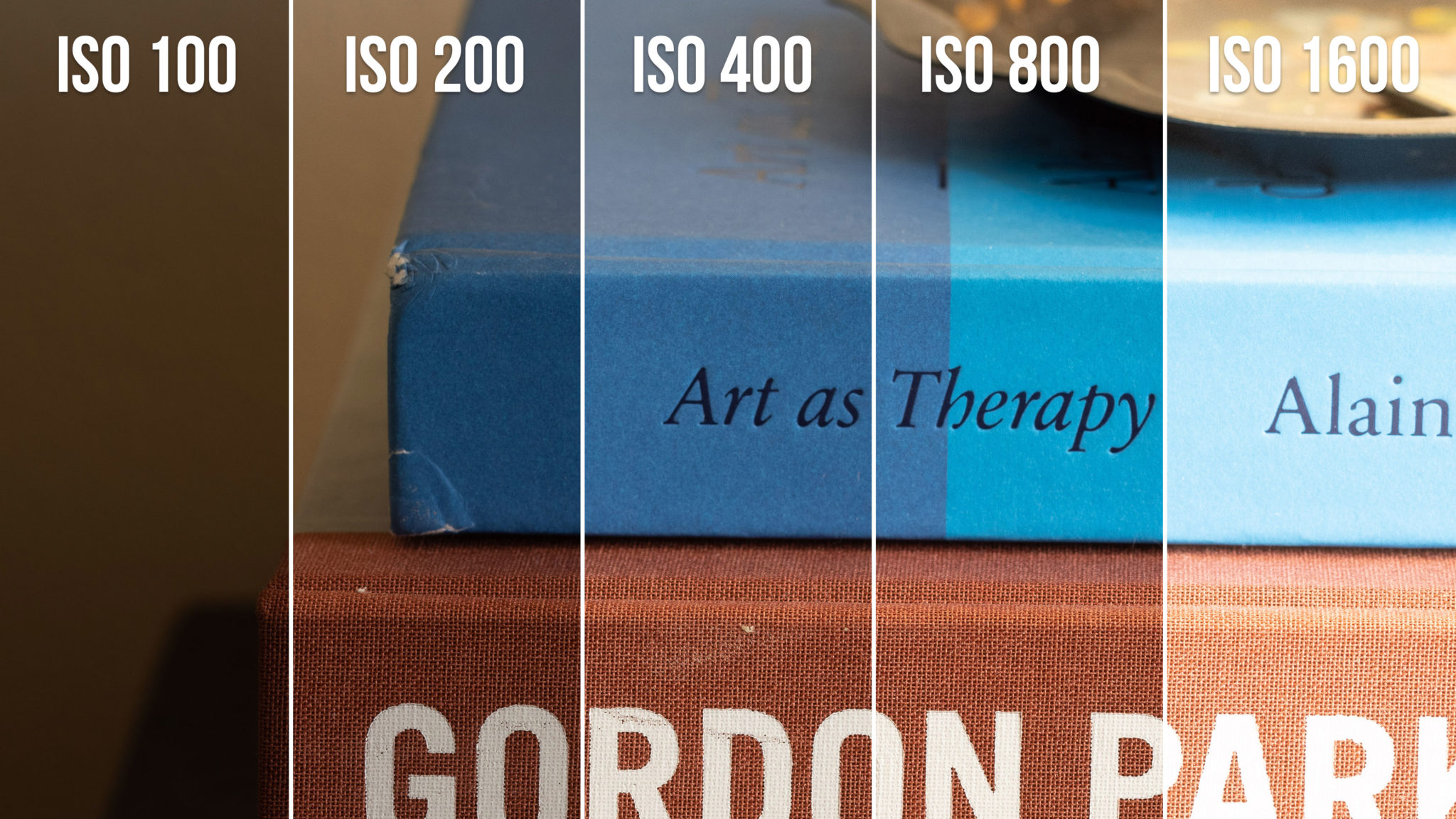 What is iso in photography learning the basics