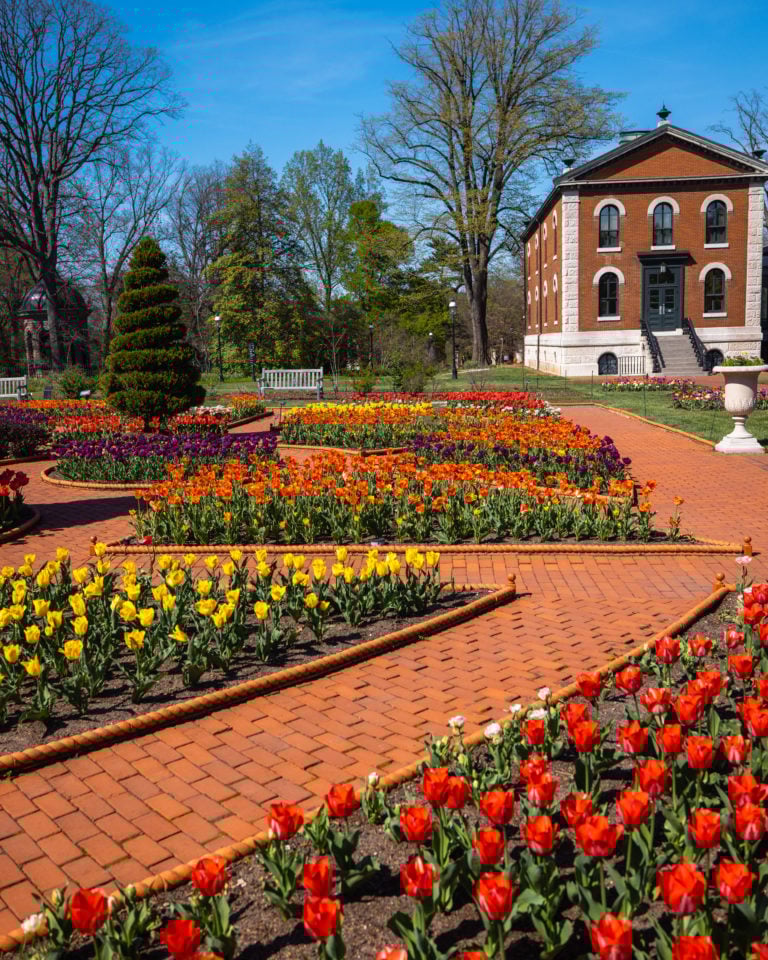 Visiting the Missouri Botanical Garden (Photos)
