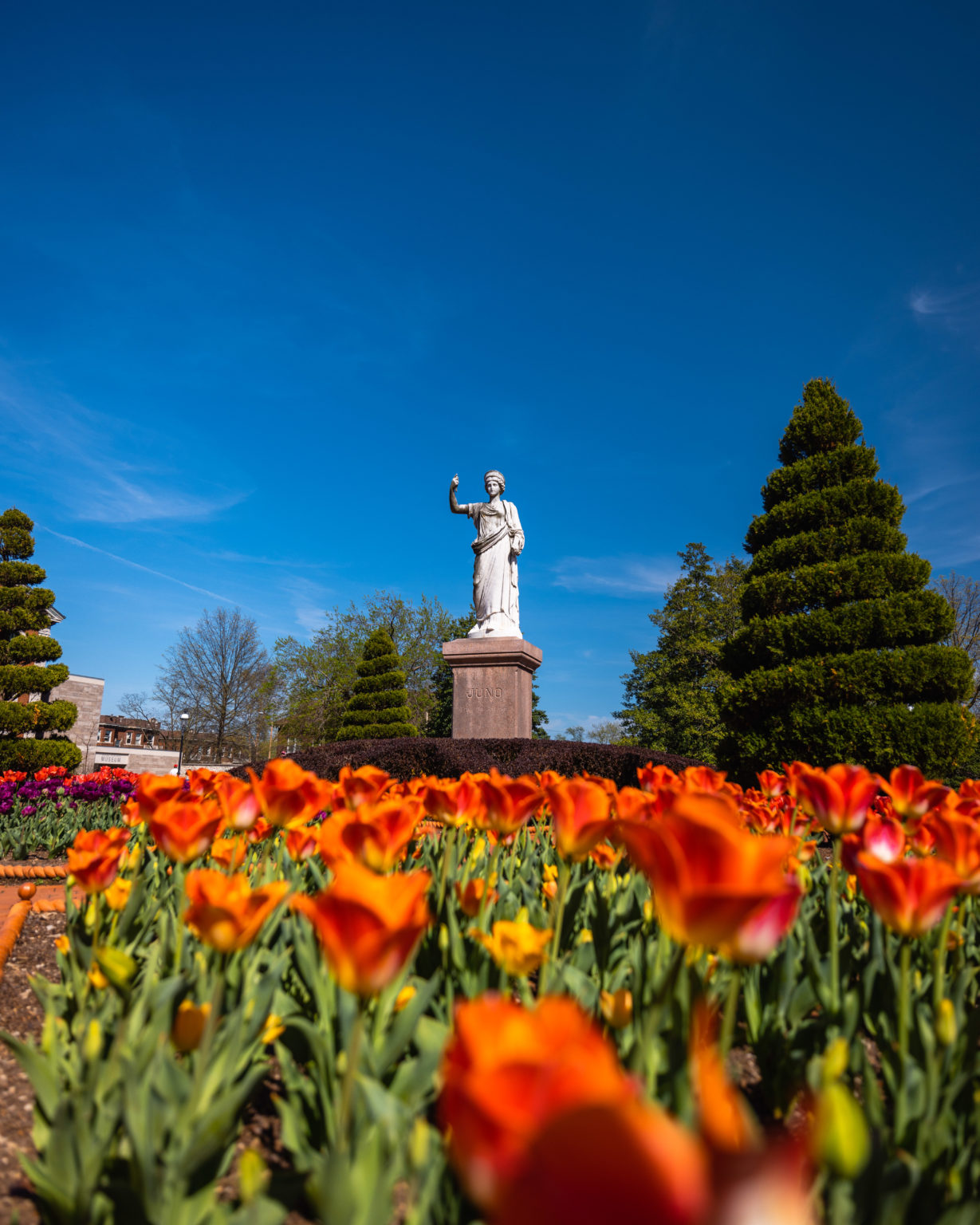 Visiting the Missouri Botanical Garden (Photos)