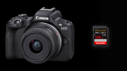 Canon EOS R50 memory cards