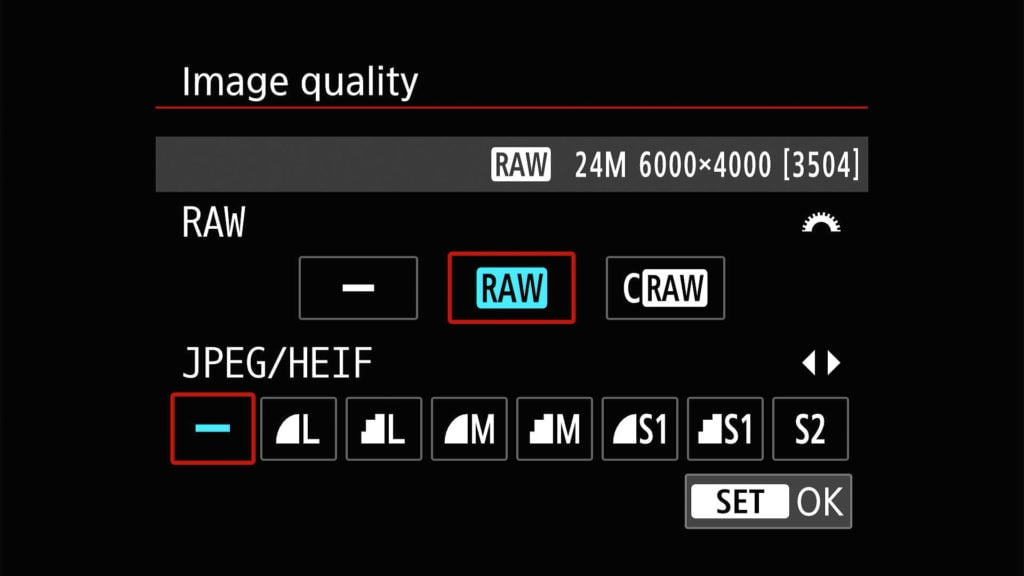 Canon EOS R50 RAW image settings