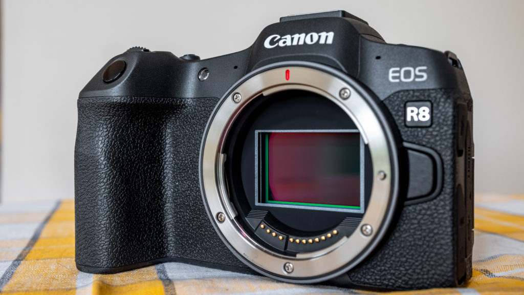 Canon EOS R8 sensor