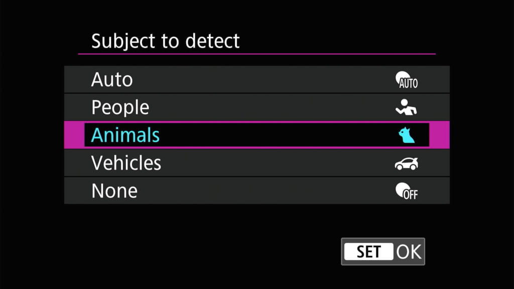 Canon EOS R50 subject auto focus settings